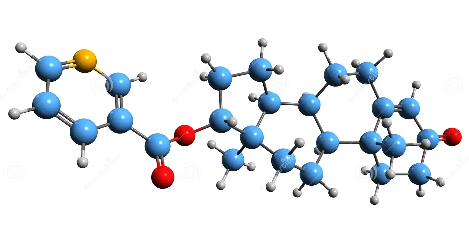 Testosterone Nicotinate Testosterone Nicotinate