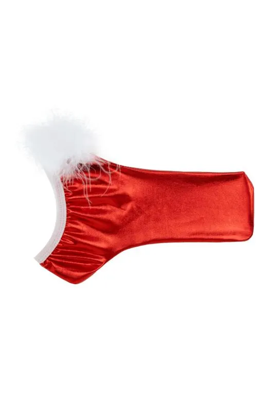 Christine - Santa’s Secret Package