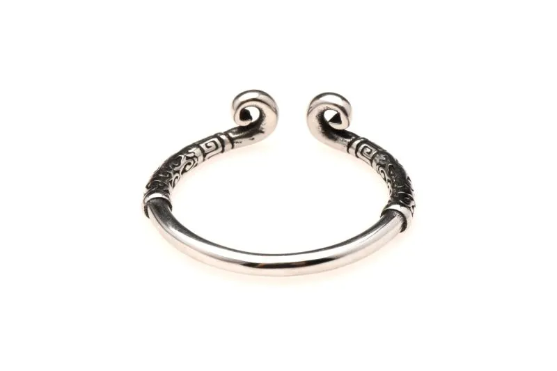 Master Series - Edelstahl Glansring - Silber