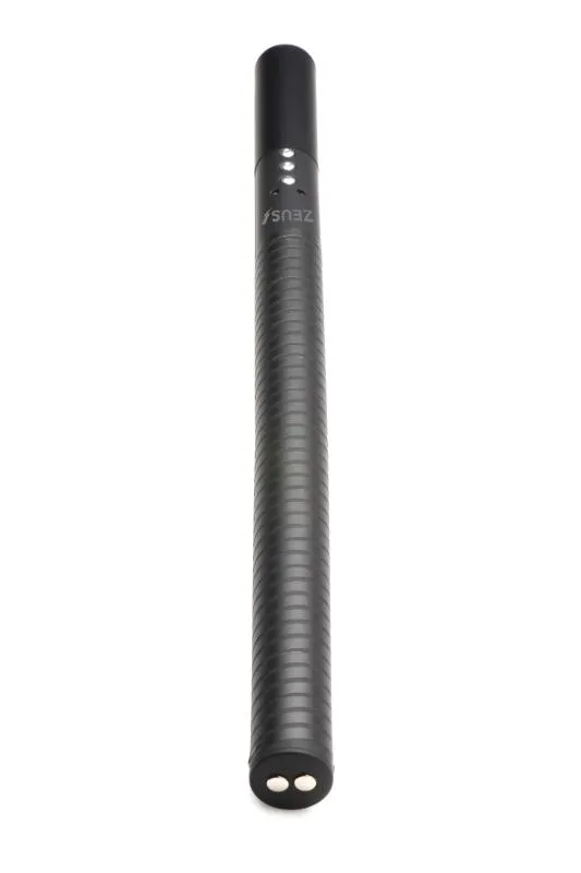 E-Stim Schlagstock