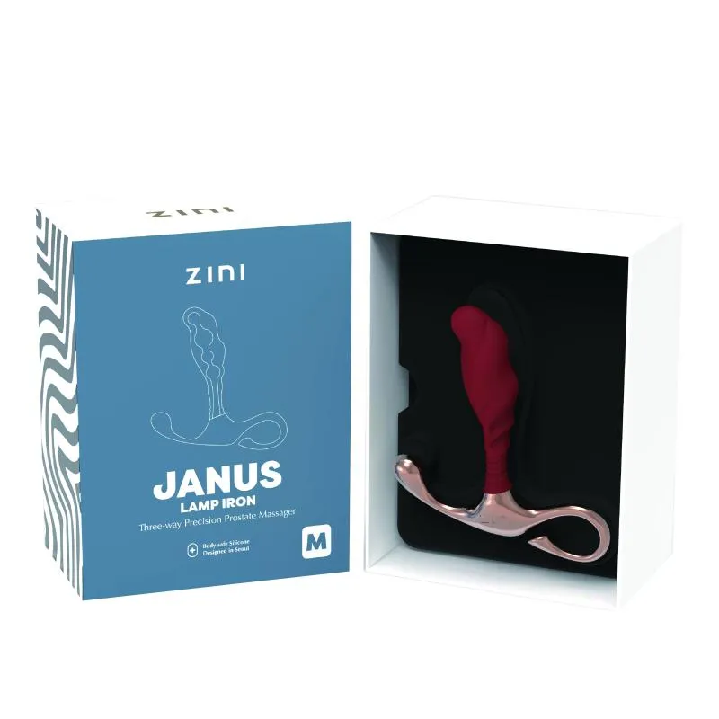 Zini - JANUS Lamp Iron (M) Bordeaux