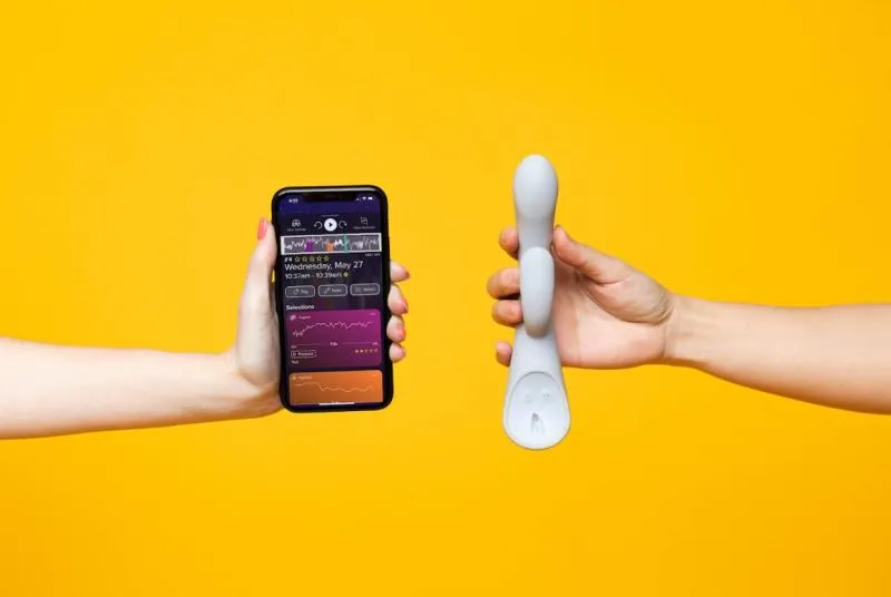 Der Lioness Smart Vibrator 2.0 - Grau