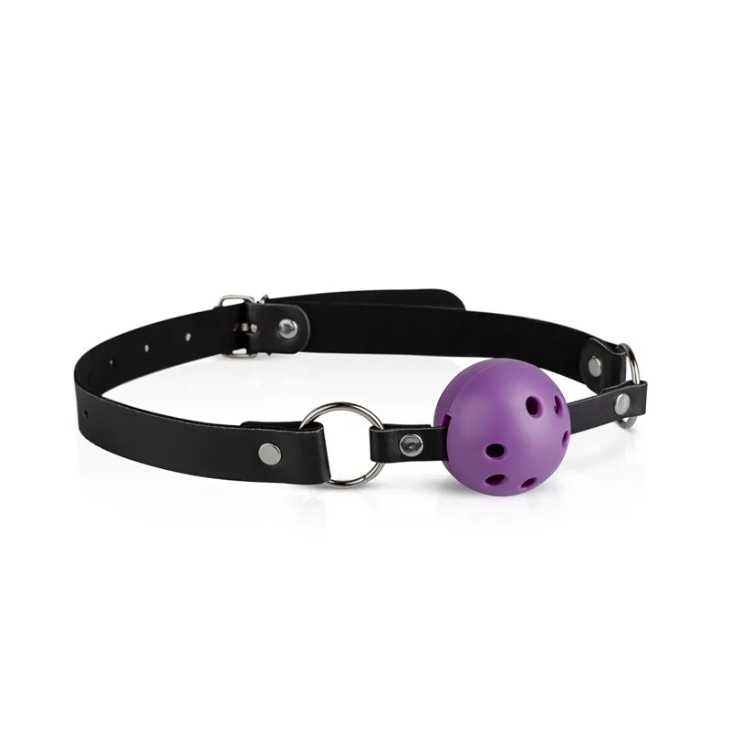 Secret Pleasure Chest »Purple Apprentice« BDSM Set