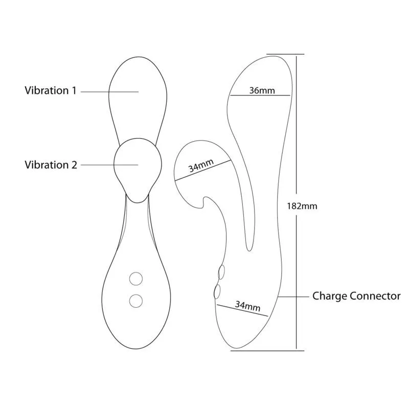 Swan - The Silhouette Swan Pink