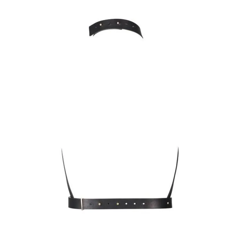 H Harness