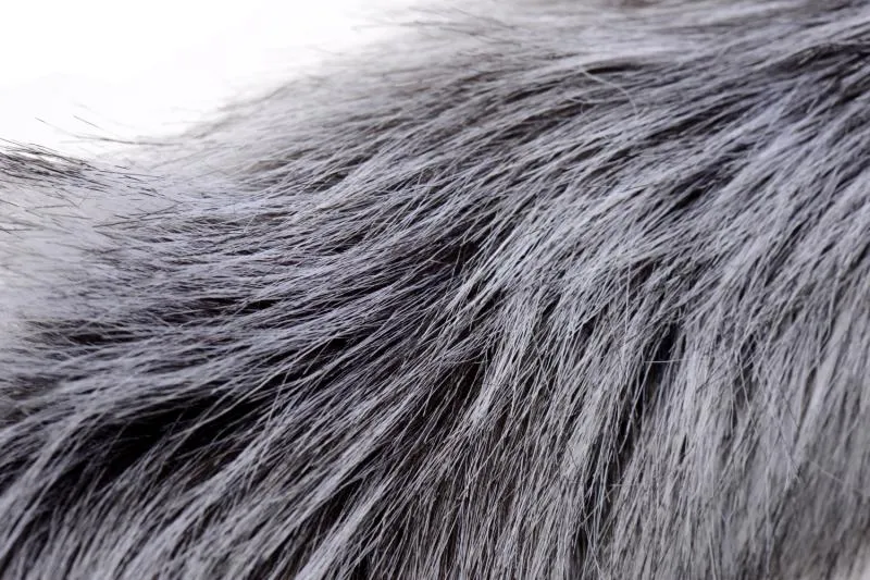 TAILZ - Grey Wolf Schwanzplug & Ohren-Set