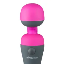 PalmPower Massager PalmPower Massager