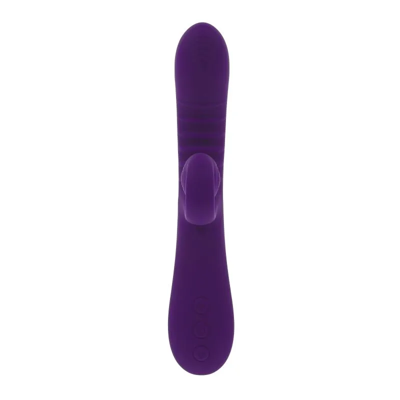 Evolved Novelties - Curlicue - Lila