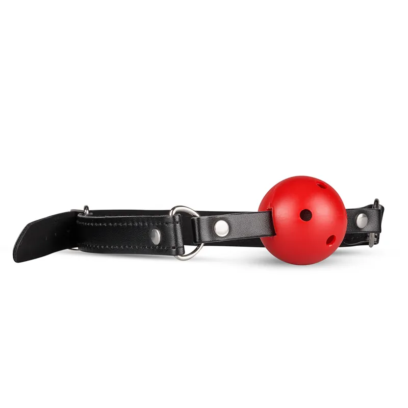 Secret Pleasure Chest »Red Dragon« BDSM Set
