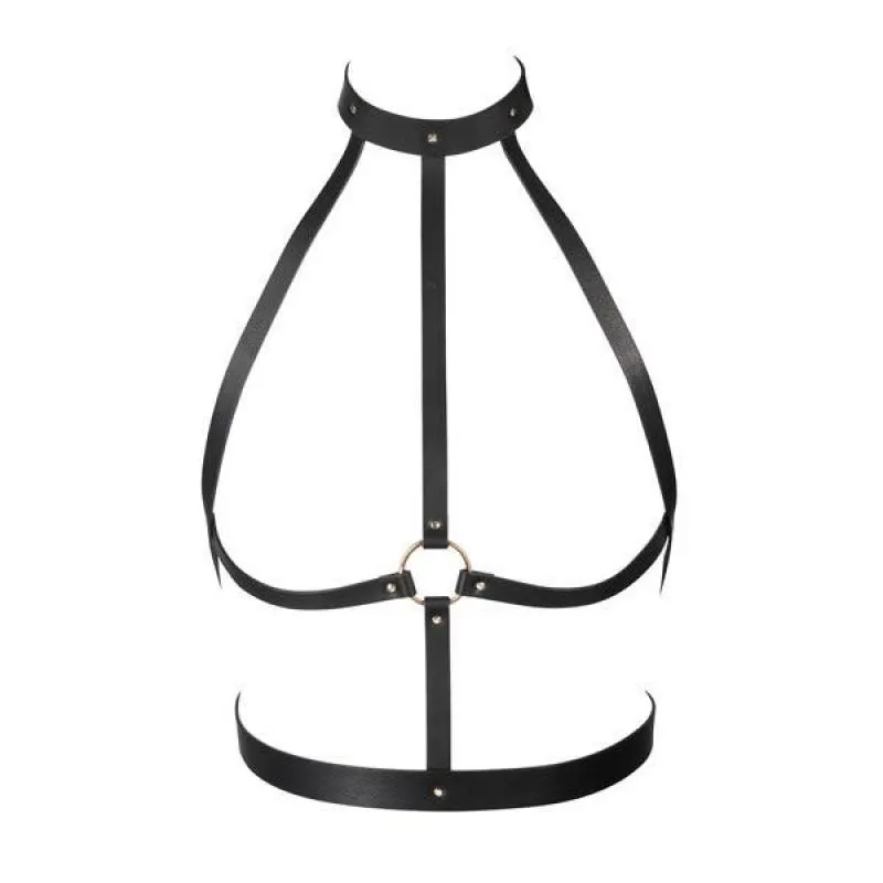 H Harness