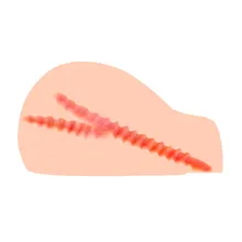 Kokos »Juliana« Mega-Masturbator Kokos »Juliana« Mega-Masturbator