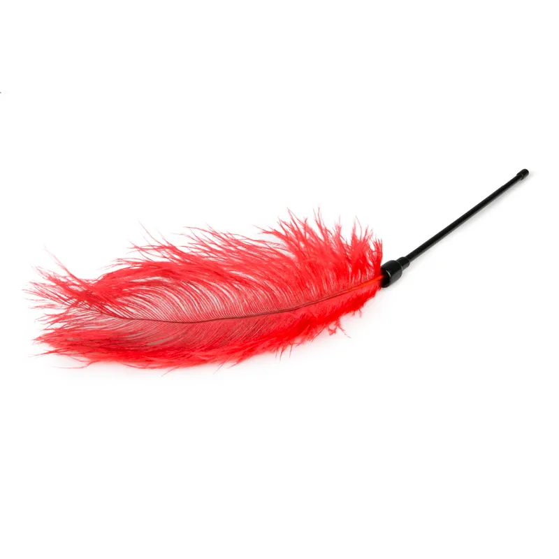 EasyToys Tickler