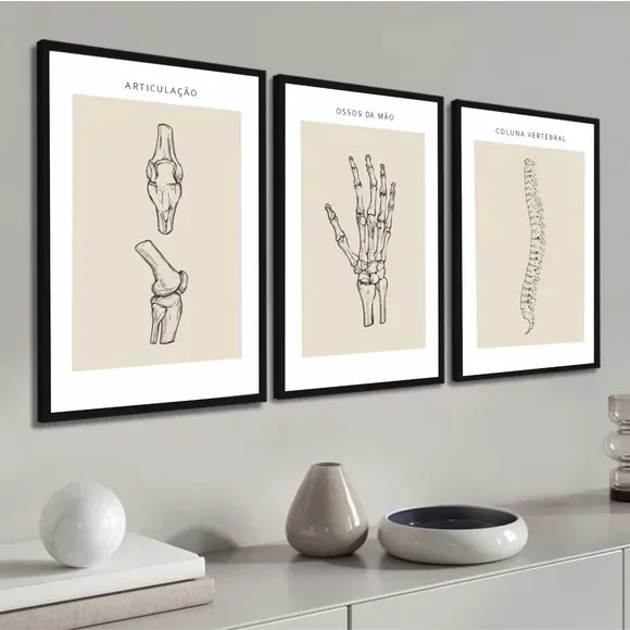 Kit 3 Quadros Anatomia Medicina Médicos Corpo Humano Kt com 3 peças, Quadro decorativo Kit 3 Quadros Anatomia Medicina Médicos Corpo Humano Kt com 3 peças, Quadro decorativo