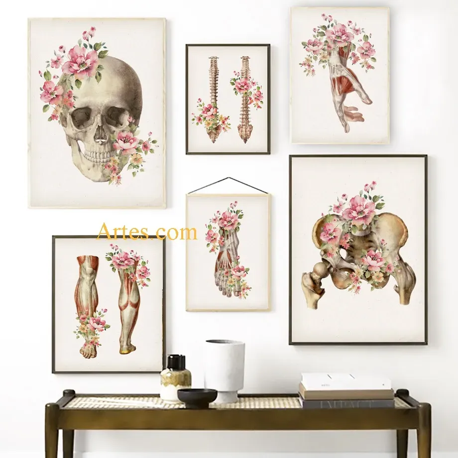 Quadro decorativo anatomia flores Quadro decorativo consultório Quadro decorativo corpo humano flores decoração de quarto anatomia humana decoração de quarto corpo humano quadros decorativos anatomia humana quadros decorativos corpo humano flores Quadro decorativo anatomia flores Quadro decorativo consultório Quadro decorativo corpo humano flores decoração de quarto anatomia humana decoração de quarto corpo humano quadros decorativos anatomia humana quadros decorativos corpo humano flores