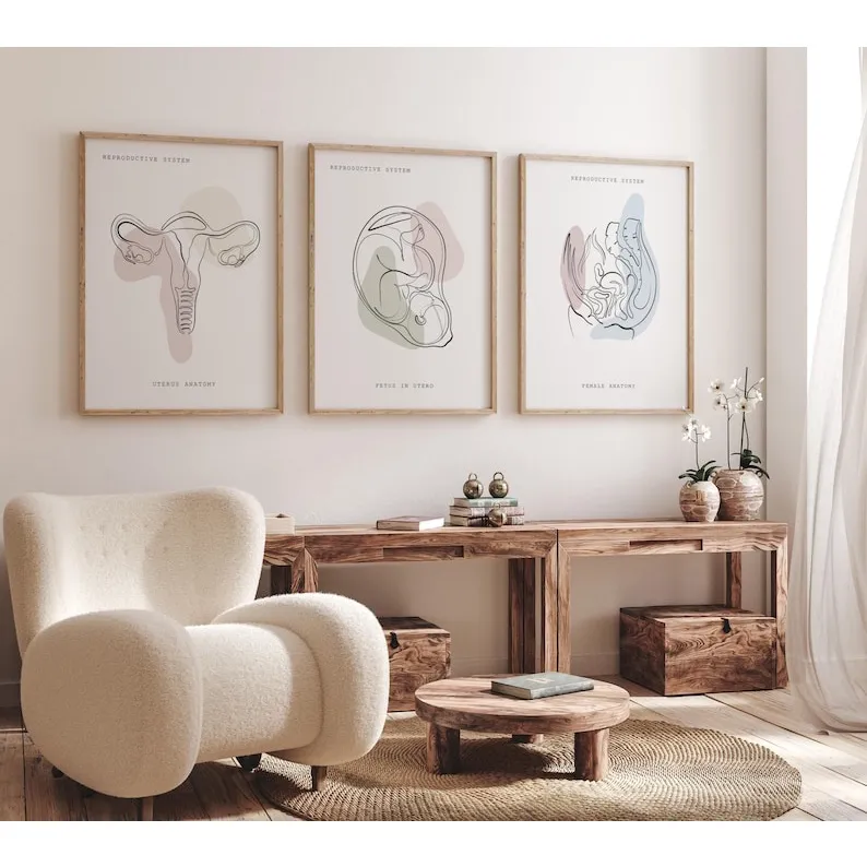 Quadro Decorativo Anatomia Humana, decoração casa Quadro Decorativo, utero, feto, consultorio Quadro Decorativo Anatomia Humana, decoração casa Quadro Decorativo, utero, feto, consultorio