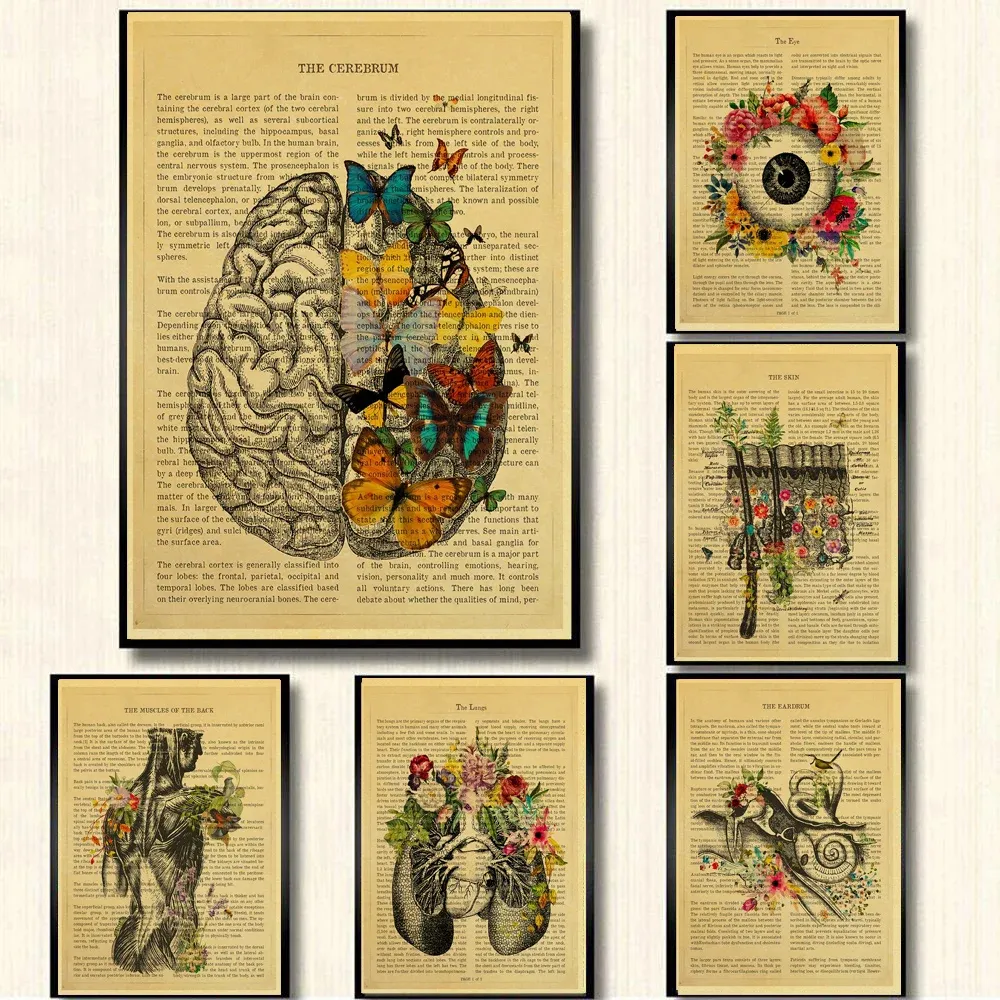 Quadro decorativo Anatomia floral coração cérebro órgãos médicos cartaz decoração, Corpo humano Quadro decorativo Anatomia floral coração cérebro órgãos médicos cartaz decoração, Corpo humano