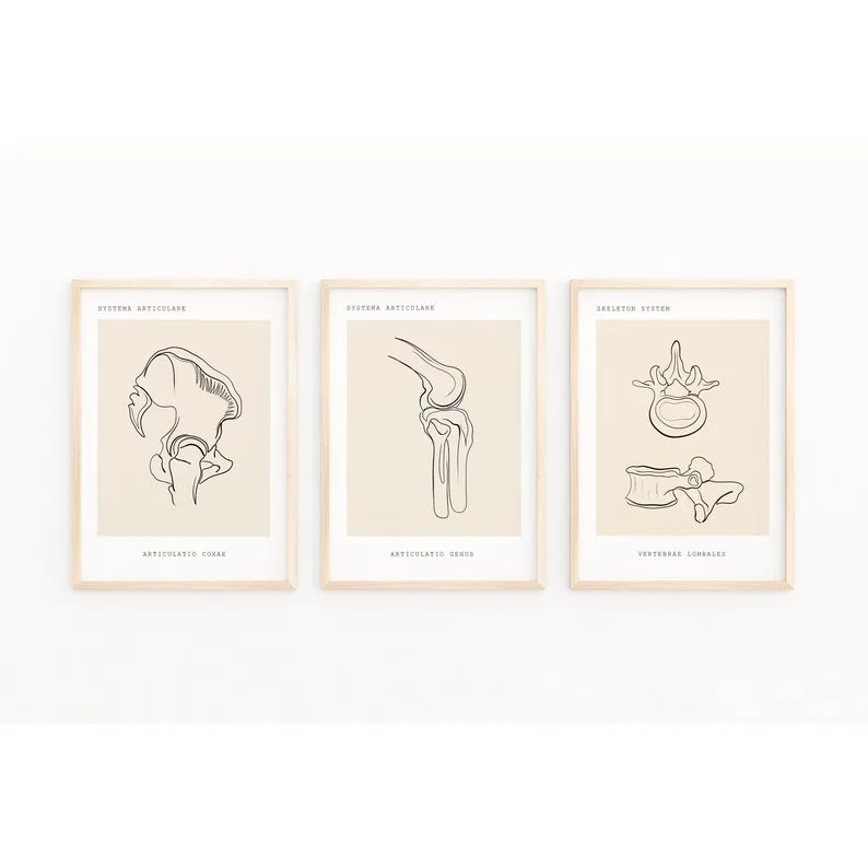 Quadro Decorativo Anatomia Humana, decoração casa Quadro Decorativo Medicina ossos coluna Quadro Decorativo Anatomia Humana, decoração casa Quadro Decorativo Medicina ossos coluna