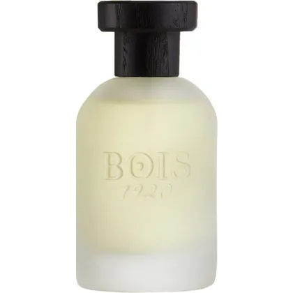 Bois 1920 Vetiver Ambrato Eau de Parfum (EdP) 100 ml Bois 1920 Vetiver Ambrato Eau de Parfum (EdP) 100 ml