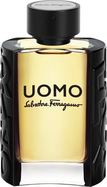 Salvatore Ferragamo Uomo Eau de Toilette (EdT) 100 ml Salvatore Ferragamo Uomo Eau de Toilette (EdT) 100 ml
