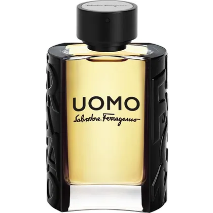 Salvatore Ferragamo Uomo Eau de Toilette (EdT) 100 ml Salvatore Ferragamo Uomo Eau de Toilette (EdT) 100 ml