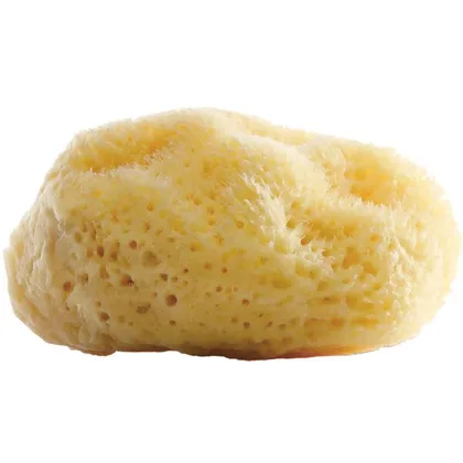 Gertraud Gruber Marine Balance Natur Gesichtsschwamm 1 Stück Gertraud Gruber Marine Balance Natur Gesichtsschwamm 1 Stück