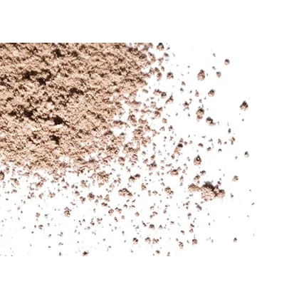 Stagecolor Eyelites Champagne 2,5 g Stagecolor Eyelites Champagne 2,5 g