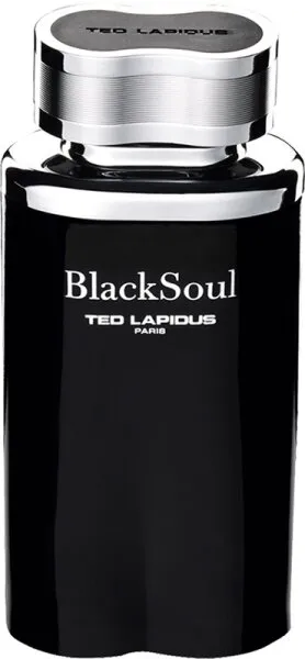 TED LAPIDUS BlackSoul Eau de Toilette (EdT) 100 ml TED LAPIDUS BlackSoul Eau de Toilette (EdT) 100 ml