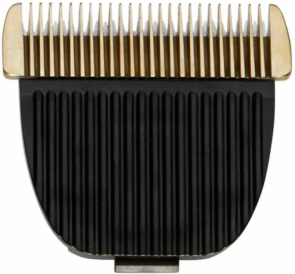 Gamma+ Scherkopf Gamma+ Scherkopf