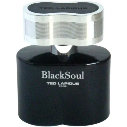 TED LAPIDUS BlackSoul Eau de Toilette (EdT) 30 ml TED LAPIDUS BlackSoul Eau de Toilette (EdT) 30 ml