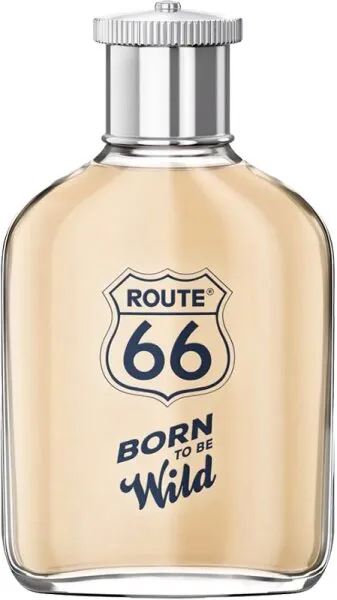 Route 66 Born to be Wild Eau de Toilette (EdT) 100 ml Route 66 Born to be Wild Eau de Toilette (EdT) 100 ml