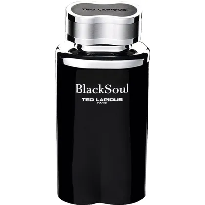 TED LAPIDUS BlackSoul Eau de Toilette (EdT) 100 ml TED LAPIDUS BlackSoul Eau de Toilette (EdT) 100 ml
