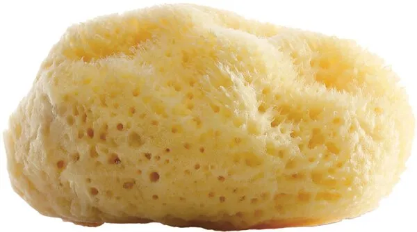 Gertraud Gruber Marine Balance Natur Gesichtsschwamm 1 Stück Gertraud Gruber Marine Balance Natur Gesichtsschwamm 1 Stück