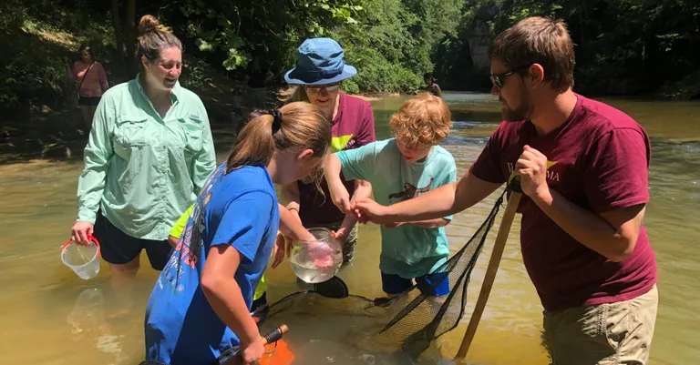 Forests, birds and composting—Ways to save the Earth in Alabama this Fall 2021—Part 3 Forests, birds and composting—Ways to save the Earth in Alabama this Fall 2021—Part 3