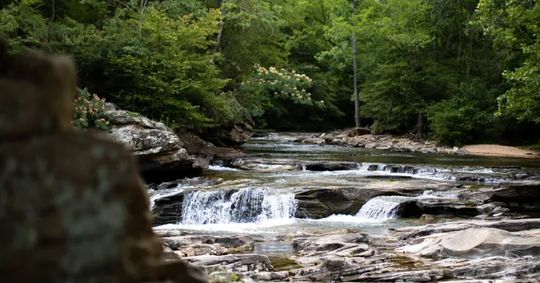 Turkey Creek adds 328 acres; now Jefferson County’s third 1,000-acre nature preserve Turkey Creek adds 328 acres; now Jefferson County’s third 1,000-acre nature preserve