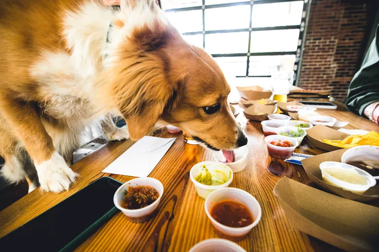 5 reasons you’ll love the Salsa Showdown at Cahaba Brewing, May 25 5 reasons you’ll love the Salsa Showdown at Cahaba Brewing, May 25