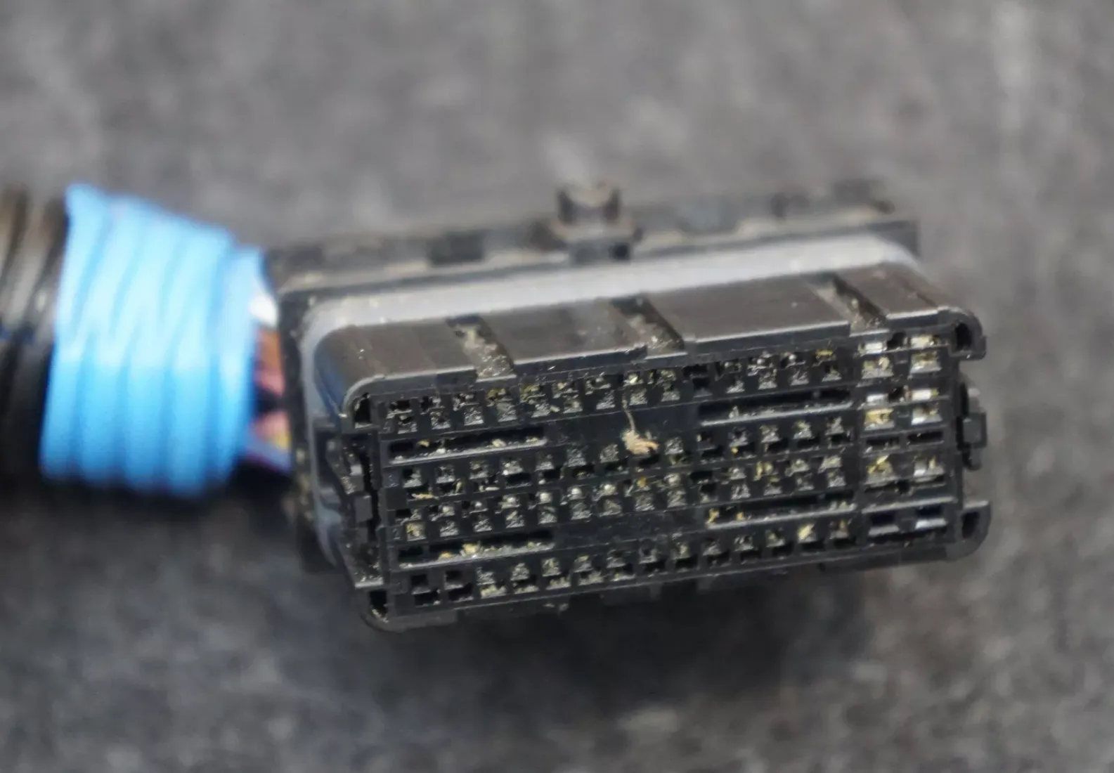 1781764-00-F Жгут суперколектора з окремим контролером HARNESS-SUPERMANIFOLD W/ STANDALONE CONTROLLER