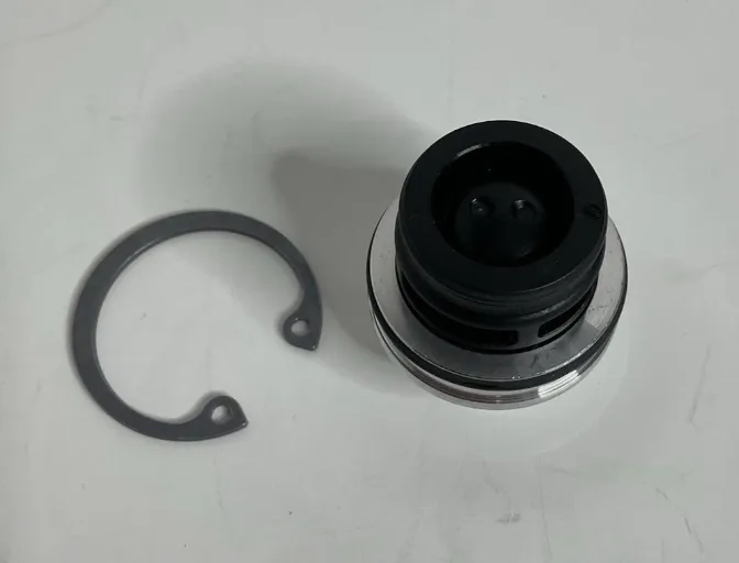 1980652-00-A Сервісний комплект — 16-мм зворотний клапан суперколектора SERVICE KIT- SUPERMANIFOLD 16MM CHECK VALVE