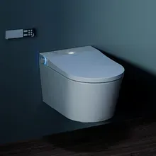 HOROW S70 Smart Wand-WC - G06 HOROW S70 Smart Wand-WC - G06