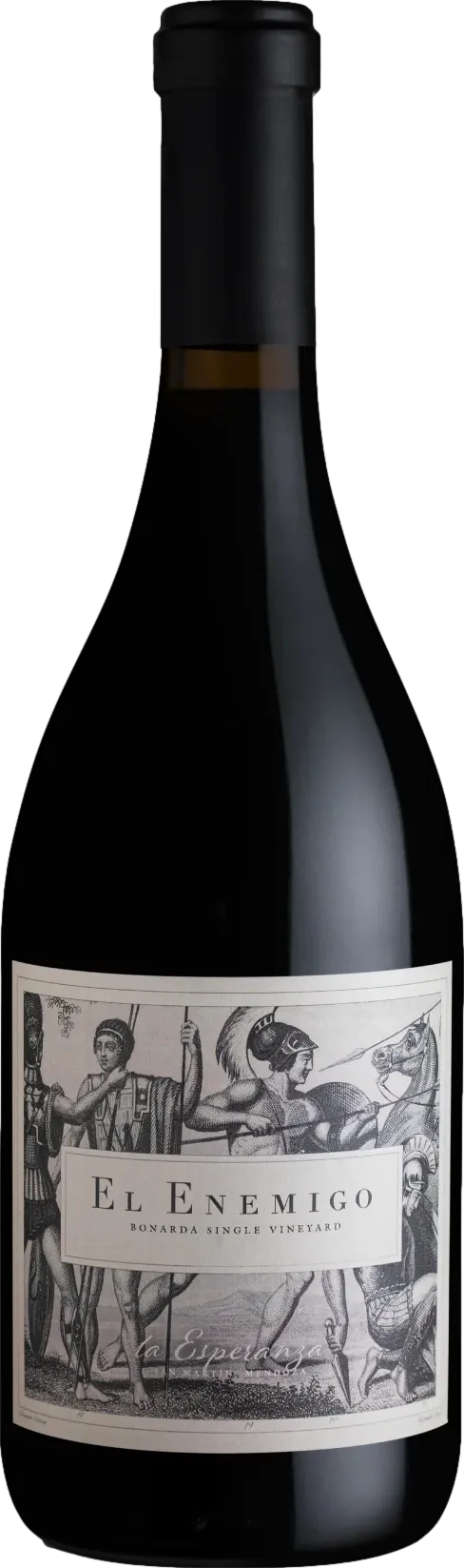 El Enemigo La Esperanza Single Vineyard Bonarda 2022 El Enemigo La Esperanza Single Vineyard Bonarda 2022