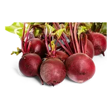 Rote Beete, gegart & vakuumiert Rote Beete, gegart & vakuumiert