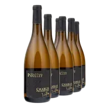 2025 Chablis Premier Cru AC Vaillons 2025 Chablis Premier Cru AC Vaillons
