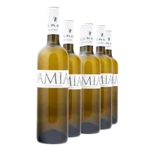 2024 DAMIAN Alto Adige Südtirol DOC Gewürztraminer 2024 DAMIAN Alto Adige Südtirol DOC Gewürztraminer