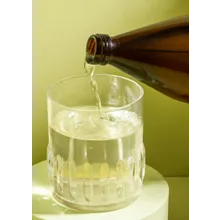 Bio Aloe Vera 100 % Direktsaft 1 L Bio Aloe Vera 100 % Direktsaft 1 L