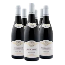2022 Bourgogne Pinot Noir AC 2022 Bourgogne Pinot Noir AC
