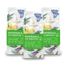 Röstkunst Guatemala San Sebastian 3x 250g gemahlen Röstkunst Guatemala San Sebastian 3x 250g gemahlen