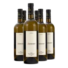 2019 Ried Pfarrweingarten Grauburgunder 2019 Ried Pfarrweingarten Grauburgunder
