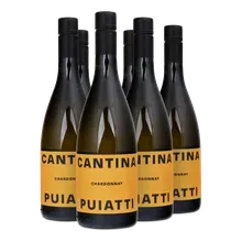 2023 Chardonnay Friuli DOC 2023 Chardonnay Friuli DOC