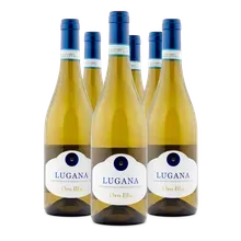 2024 Lugana DOC Oro Blu 2024 Lugana DOC Oro Blu