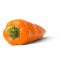 Spitz-Paprika Spitz-Paprika