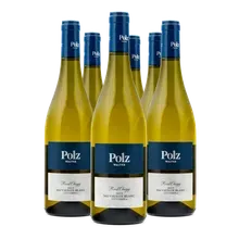 2023 Ried Obegg Sauvignon Blanc 2023 Ried Obegg Sauvignon Blanc